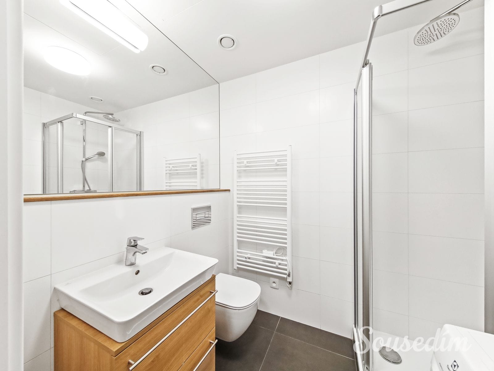 Typ 1 — koupelna se sprchovým koutem, umyvadlem a WC